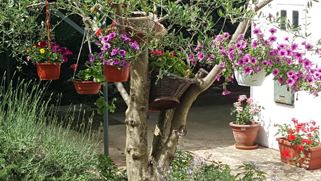 Holiday House Altea Banjole Cameră foto