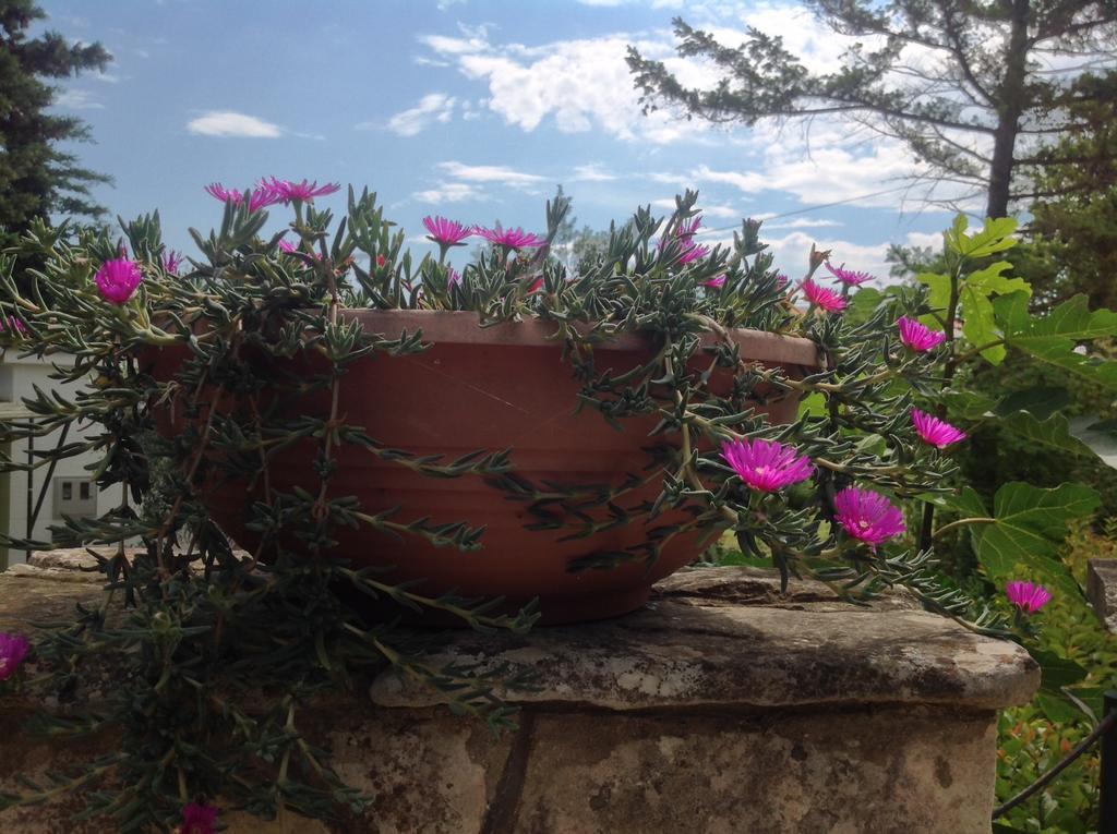 Holiday House Altea Banjole Cameră foto